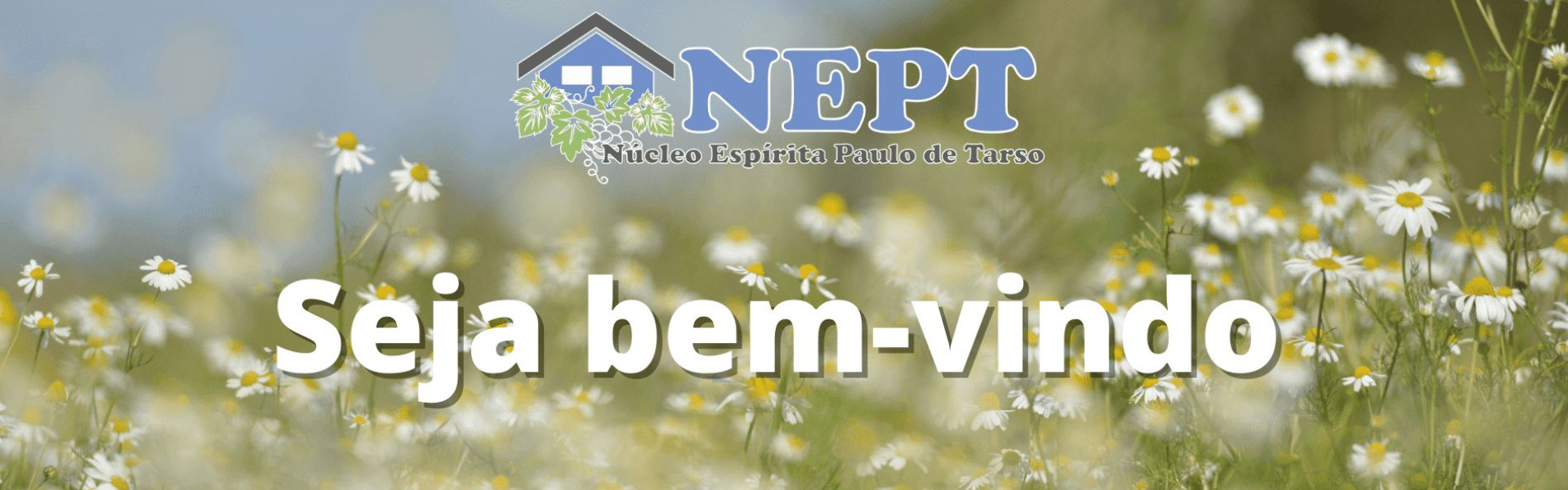 Seja bem-vindo ao NEPT
